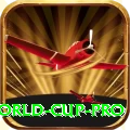 2019 world cup Mobile VIP
