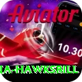 antigua hawksbill Plus v4.3.8