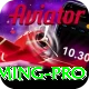 Aviator Game Pakistan - Gaming Pro