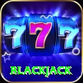 blackjack Pro v2.6.5
