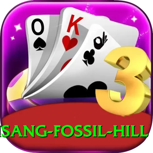 chhusang fossil hill Deluxe Pro v5.4.5 - 2
