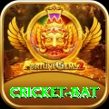cricket bat Deluxe v4.9.4