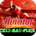 cricket bat VIP APK v4.8.4