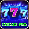 crickex Mega 2024