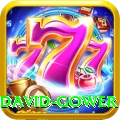 david gower VIP v5.6.9