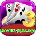 dawid malan Premium Plus v1.9.8
