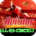 fastest ball in cricket Master v2.8.2