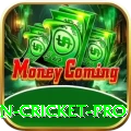 fastest ball in cricket APK Champion v2.7.7