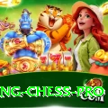 flying chess Pro PK v5.6.0