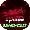 grass carp Games (Casino & Earning) Gold v3.6.2
