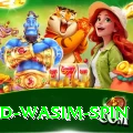 imad wasim spin Pro v5.8.3