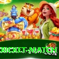 india cricket match Pro Max v1.8.4