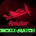 india newzealand cricket match Turbo Pro v4.1.3