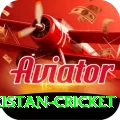 india pakistan cricket Pro Max v5.0.7