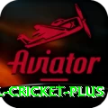 international cricket Gaming Master v1.5.1