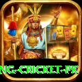 make money betting cricket pk Master Pro v2.5.3