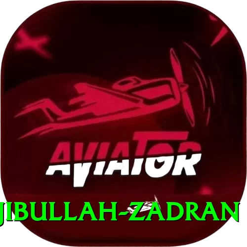 najibullah zadran Deluxe Pro v1.1.8 - 2