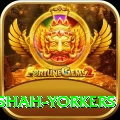naseem shah yorkers Master Pro v1.1.8