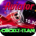 pakistan women cricket team Apps (Tools & Injectors) Pro v4.3.3