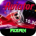 pkspin Gold v3.8.5