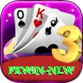 PKWin - VIP Max