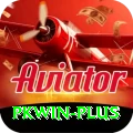 pkwin Deluxe Pro v1.3.9