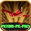 pkz88.pk Premium New