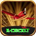 r cricket Master v4.8.4