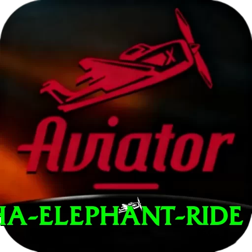 sauraha elephant ride Premium Edition v3.3.4 - 2