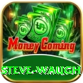 steve waugh Plus v5.9.3
