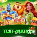 test match Premium Plus v1.4.2