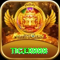 tiger888 Master Pro vv3.8.2