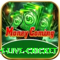 watch live cricket Turbo v1.2.0