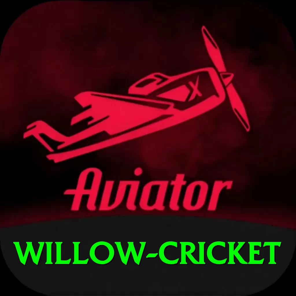 willow cricket Deluxe v1.2.3 - 2