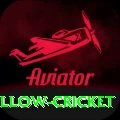 willow cricket Deluxe v1.2.3