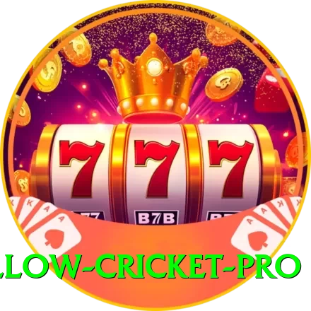willow cricket Bonus Max v1.6.9 - 2