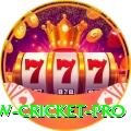 willow cricket Bonus Max v1.6.9