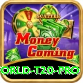 world t20 Casino Turbo v2.5.9