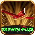 yaywin VIP Edition v5.1.3